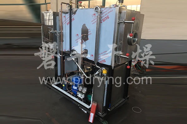 Vacuum freeze dryer